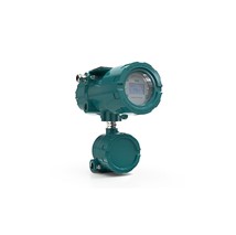FLEXIM-F831 Flowmeter